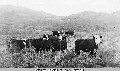 Click for Fullsize