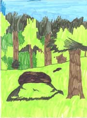 Bryan's drawing