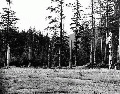 Click for Fullsize