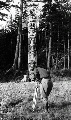 Click for Fullsize
