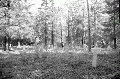 Click for Fullsize