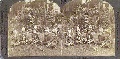 Click for Fullsize