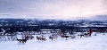 Click for Fullsize
