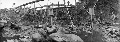 Click for Fullsize
