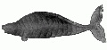 Click for Fullsize