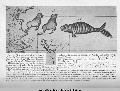Click for Fullsize