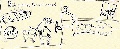 Click for Fullsize