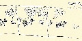 Click for Fullsize