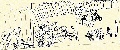 Click for Fullsize