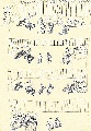 Click for Fullsize