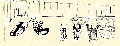 Click for Fullsize