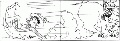 Click for Fullsize