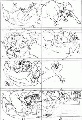 Click for Fullsize