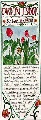 Click for Fullsize