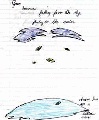 Click for Fullsize