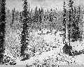 Click for Fullsize