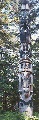 Click for Fullsize