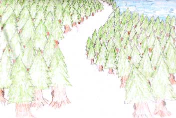 trees drawing